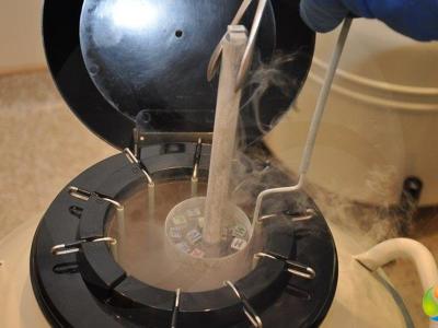 ROMOY Healthcare - IVF Unit, Istanbul, Turkey