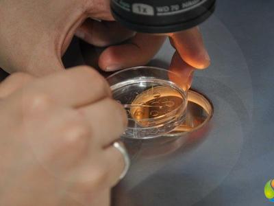 ROMOY Healthcare - IVF Unit, Istanbul, Turkey