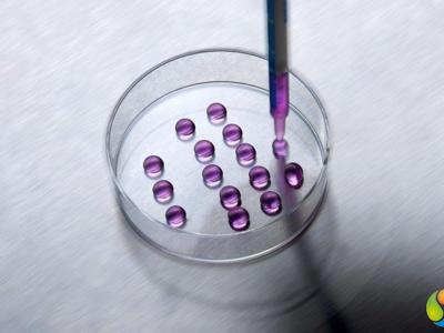 ROMOY Healthcare - IVF Unit, Istanbul, Turkey