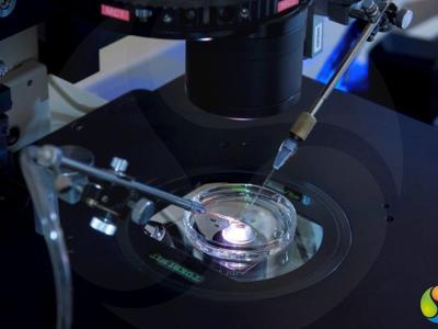 ROMOY Healthcare - IVF Unit, Istanbul, Turkey