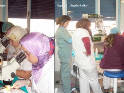 Dr. Aboufirass Abdellatif - Hair Transplantation, Marrakech, Morocco